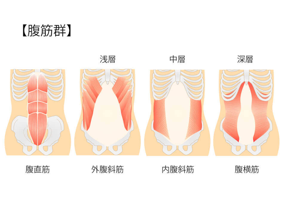 腹筋群